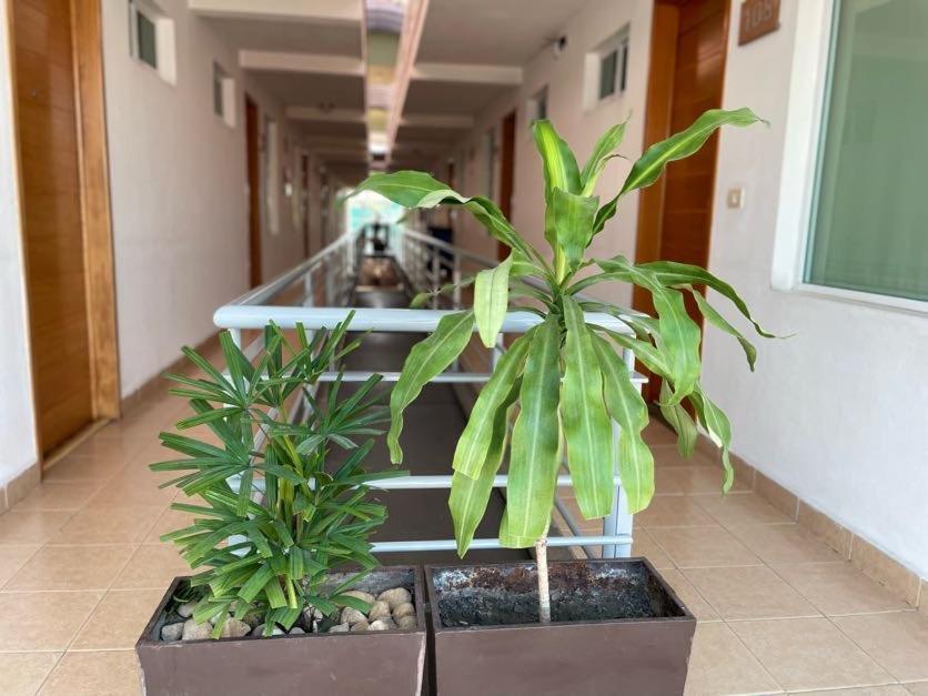 Hotel Santo Domingo Express Villahermosa Εξωτερικό φωτογραφία